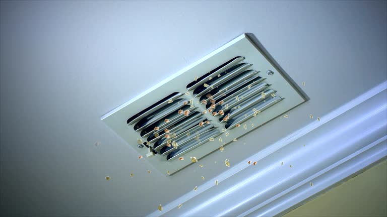 Best Air Duct Cleaning Near Me  in Fourche Crossing, LA