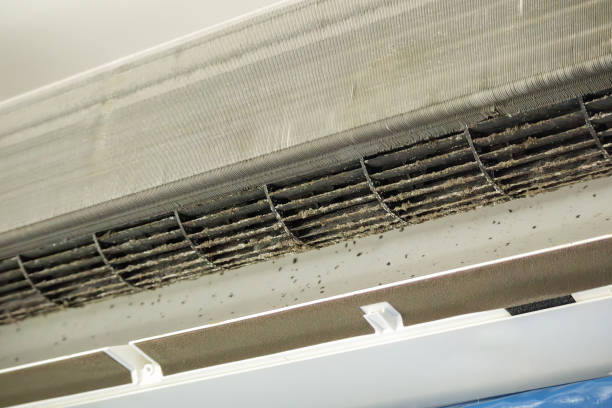 Best Duct Cleaning Specialists  in Fourche Crossing, LA